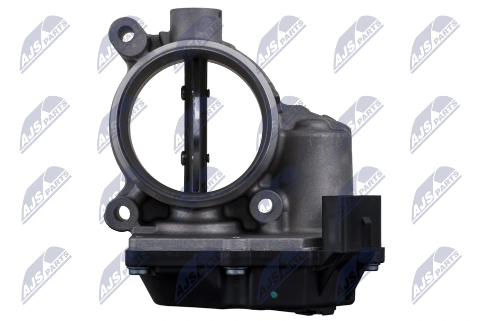 Throttle Body ETB-VW-029