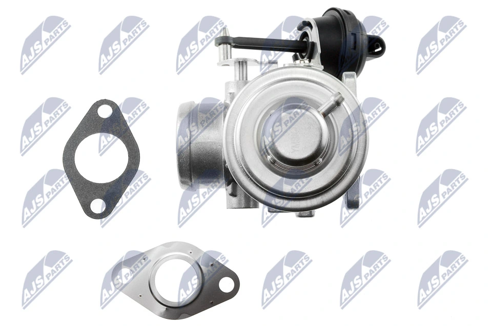 EGR Valve EGR-SK-003