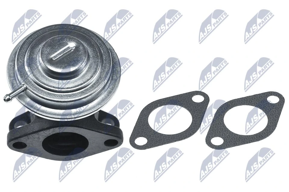 EGR Valve EGR-AU-016