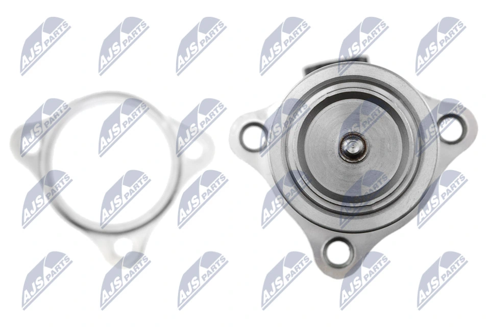 NTY EGR-NS-002 EGR Valve