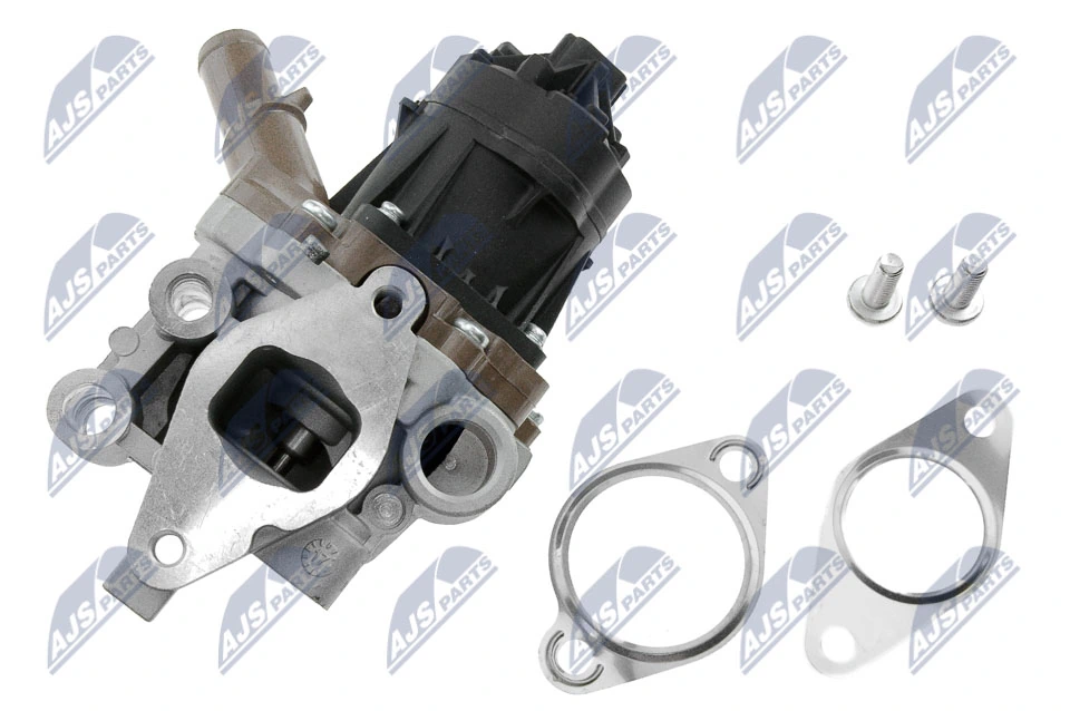 EGR Valve EGR-VC-001