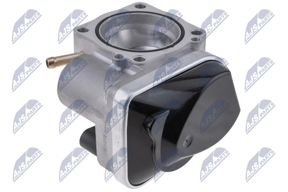 Throttle Body ETB-BM-013