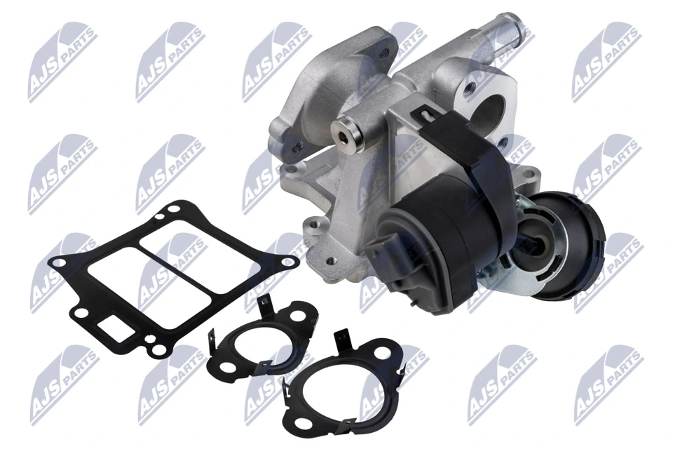 EGR Valve EGR-VV-010