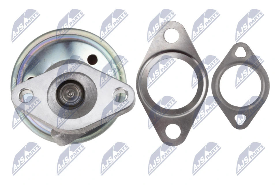 EGR Valve EGR-AU-041