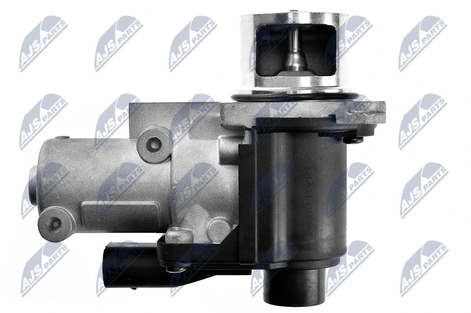 EGR Valve EGR-AU-007