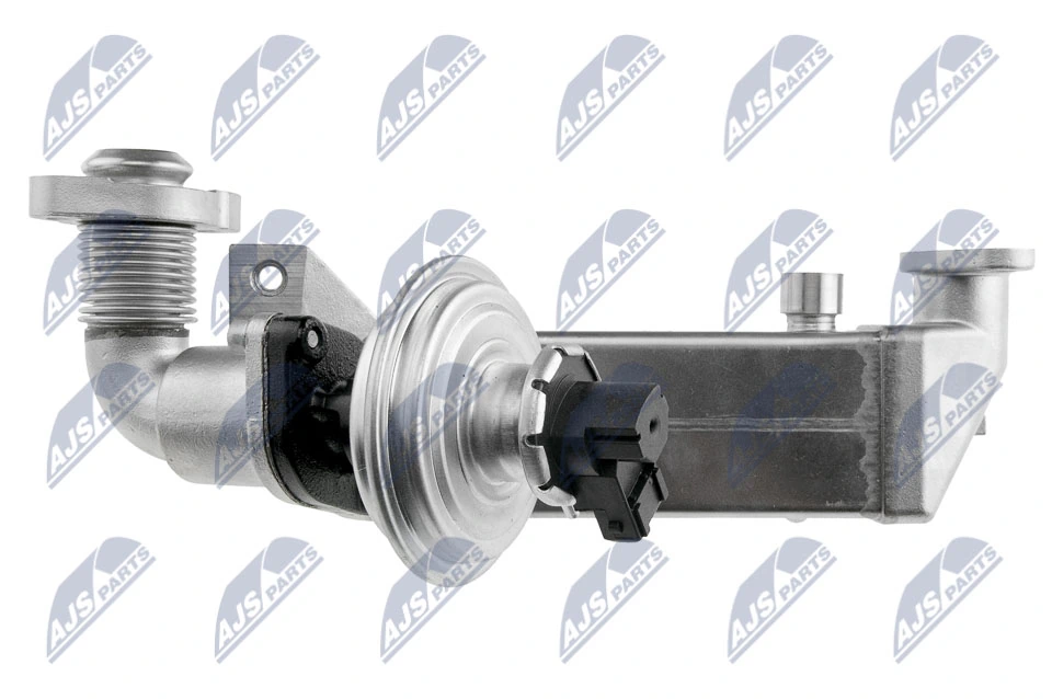 EGR Valve EGR-BM-011A