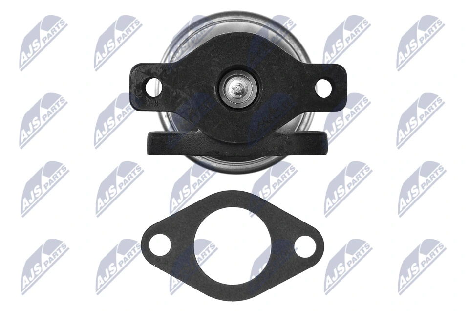 EGR Valve EGR-AU-013