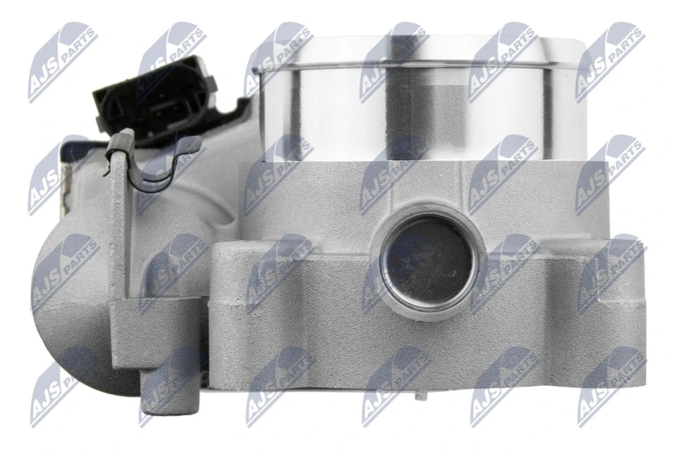 Throttle Body ETB-PL-001