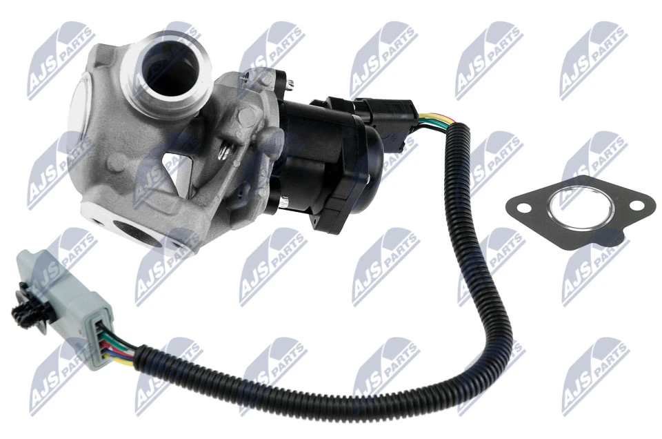EGR Valve EGR-FR-005