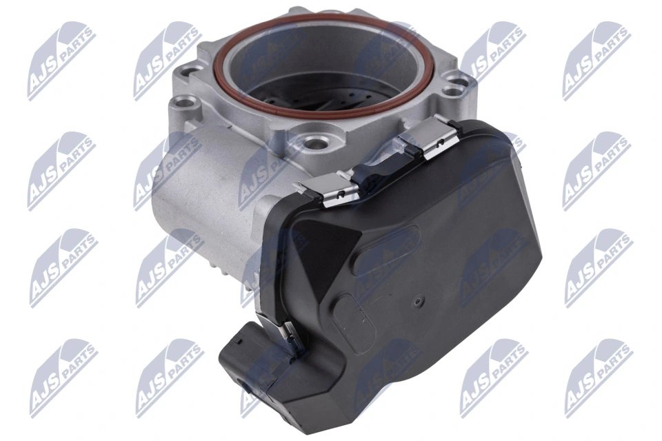 Throttle Body ETB-BM-011
