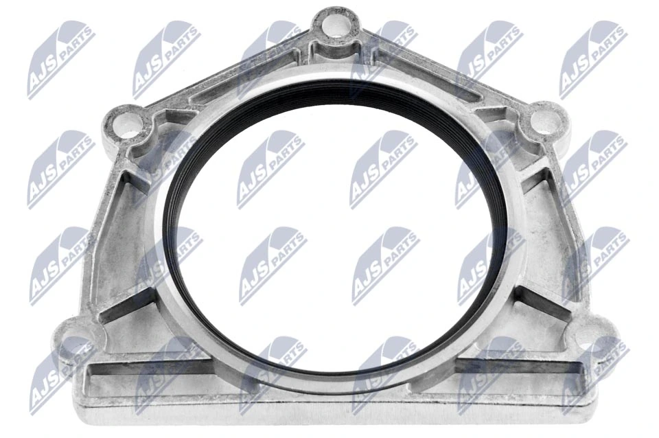 Shaft Seal, crankshaft NUP-LR-000