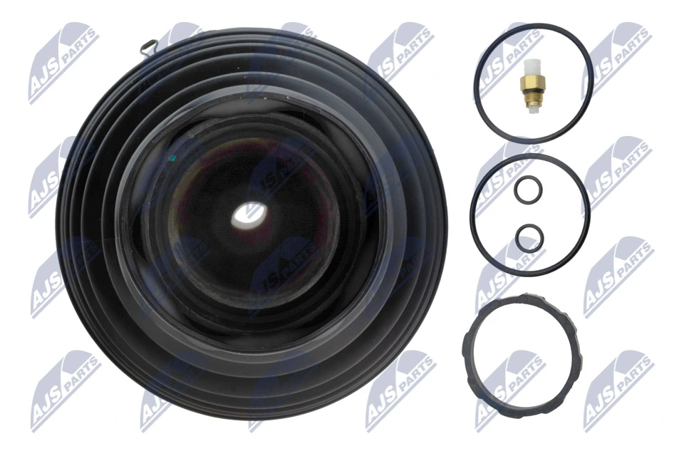 Air Suspension Strut EZC-PS-019