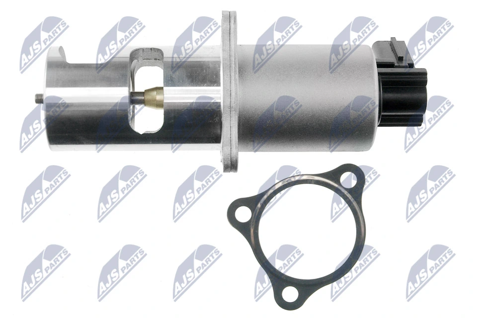 NTY EGR-NS-002 EGR Valve