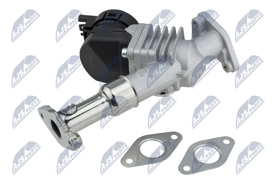 EGR Valve EGR-BM-017