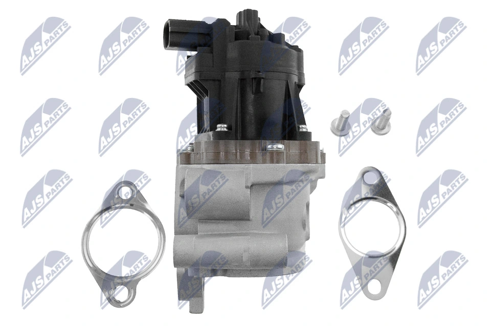 EGR Valve EGR-FT-010