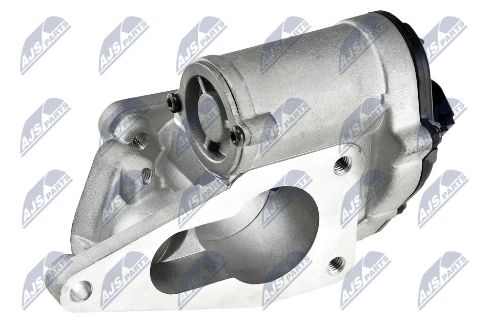 EGR Valve EGR-RE-004