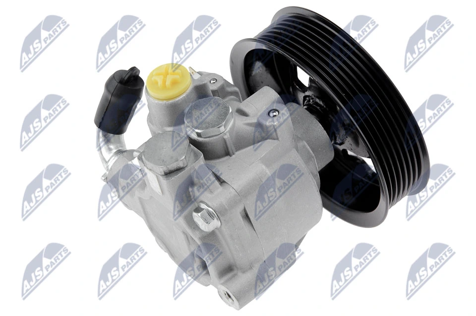 NTY SPW-MS-006 Hydraulic Pump, steering