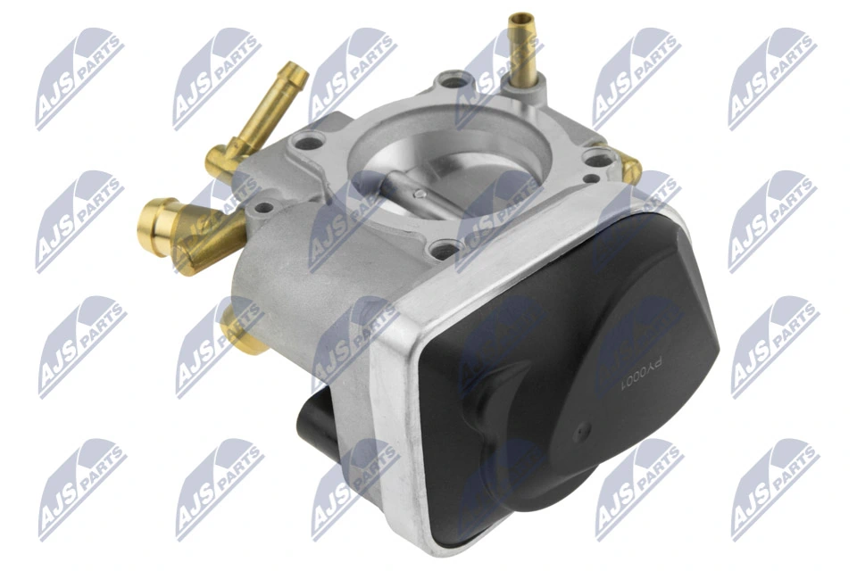 Throttle Body ETB-PL-000