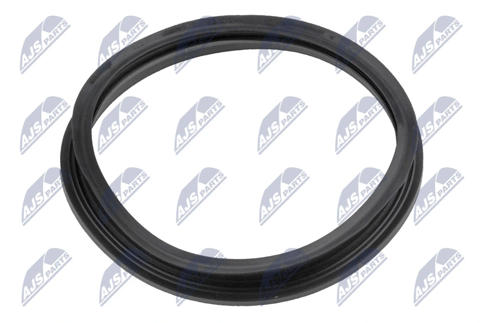 Gasket, fuel pump BPP-VW-005