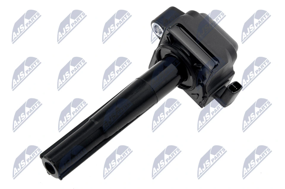 Ignition Coil ECZ-TY-019