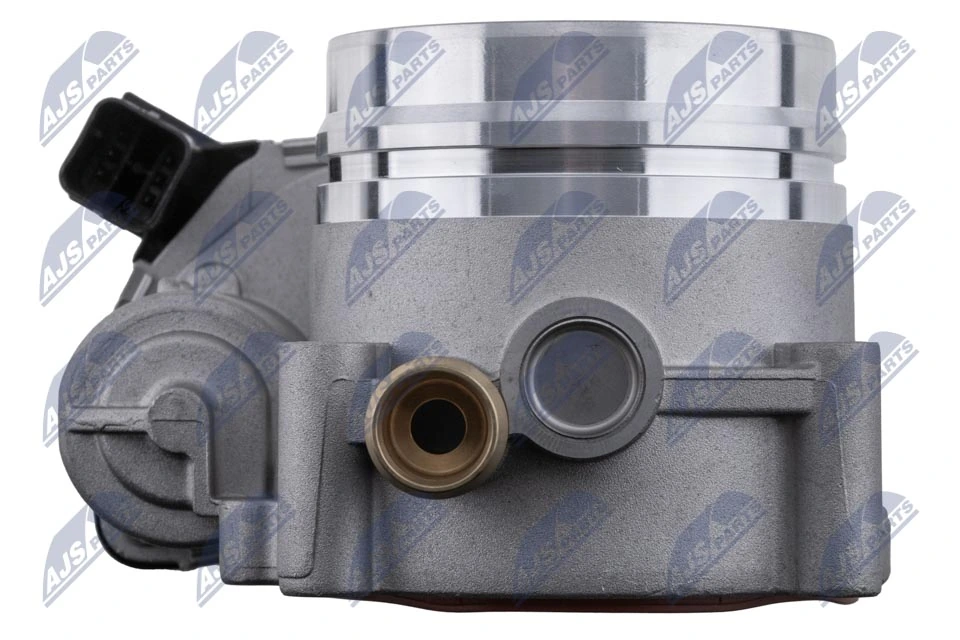 Throttle Body ETB-BM-010