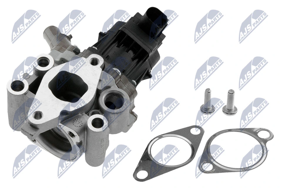 EGR Valve EGR-FT-010