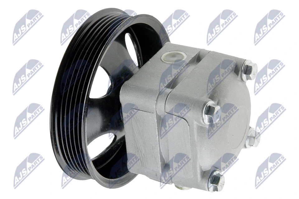 Hydraulic Pump, steering SPW-VV-002