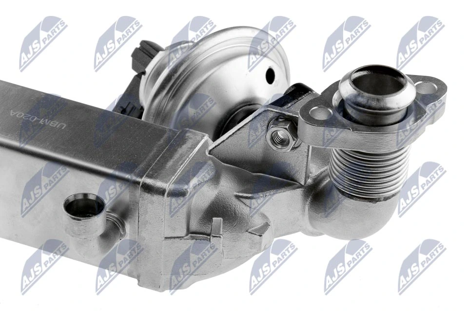 EGR Valve EGR-BM-011A