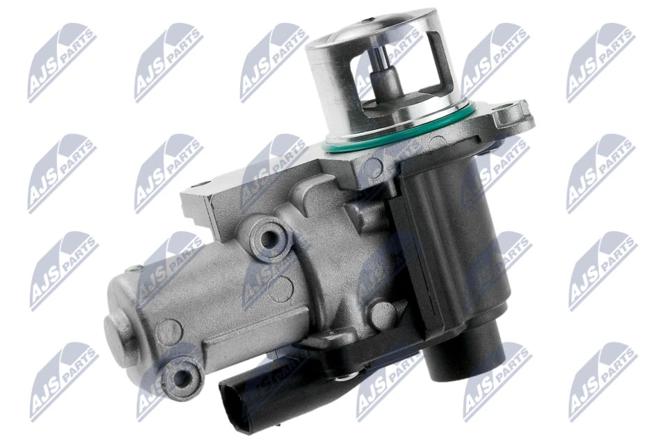 EGR Valve EGR-VW-005