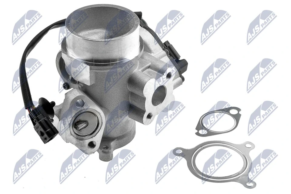 EGR Valve EGR-RE-012