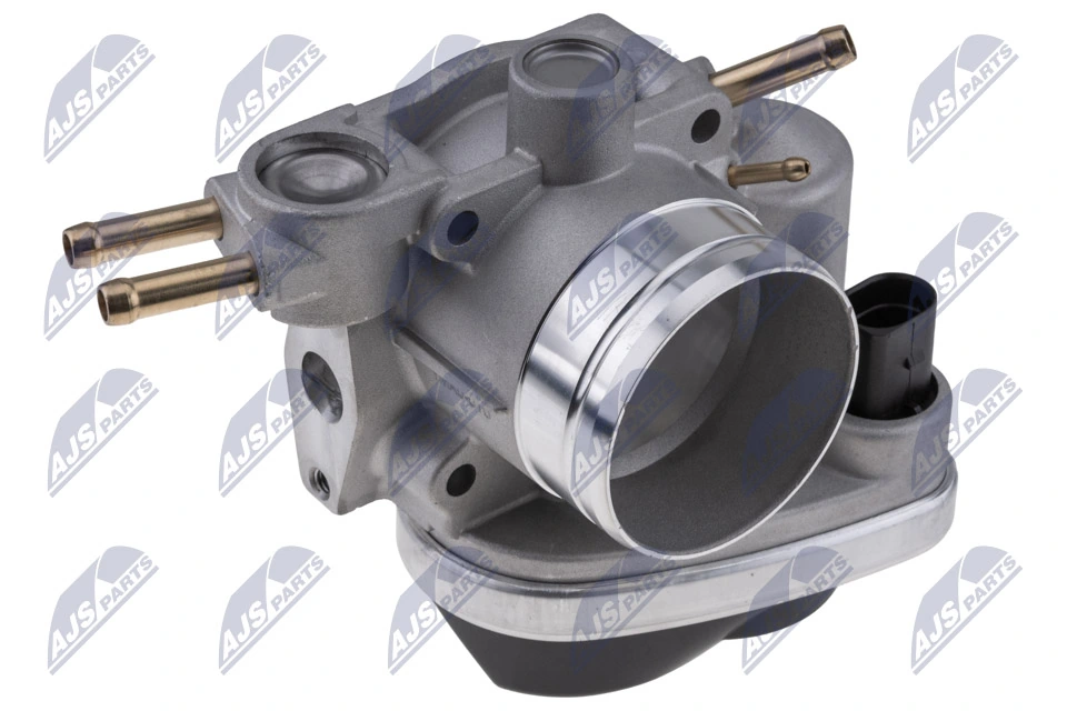 Throttle Body ETB-AU-010