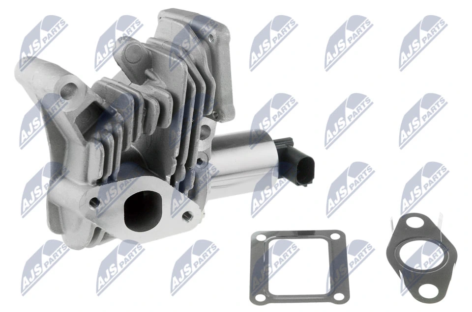 EGR Valve EGR-RE-006