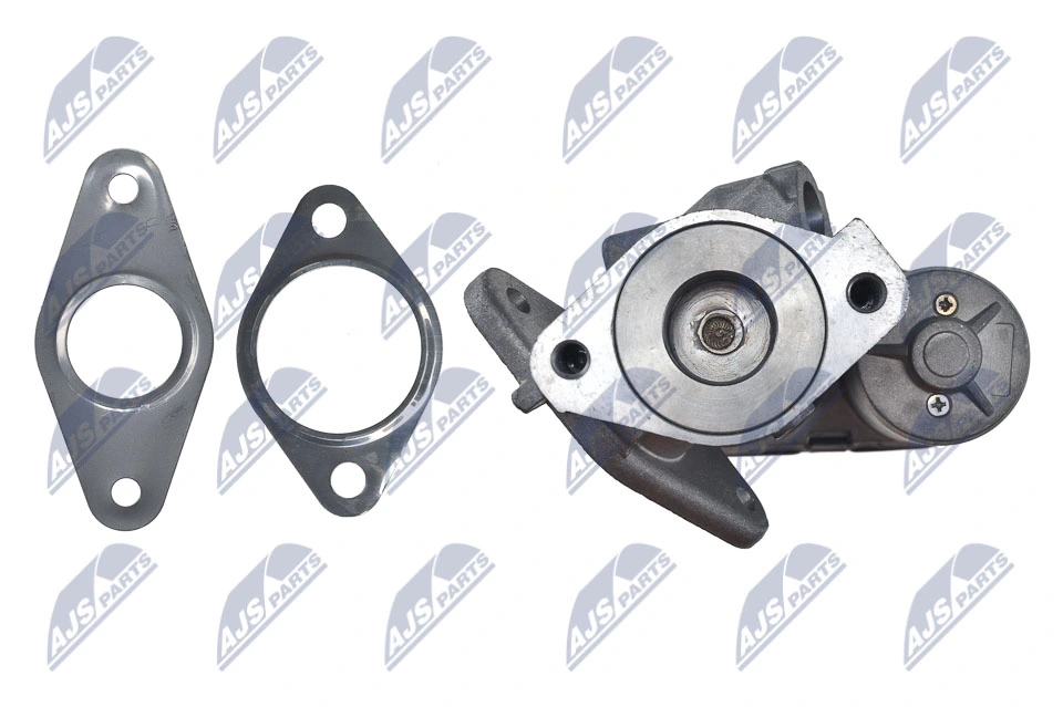 EGR Valve EGR-CT-001