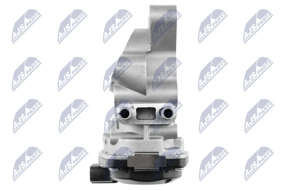 EGR Valve EGR-NS-000