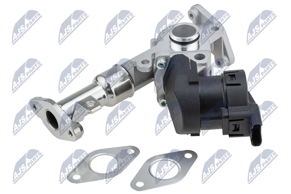 EGR Valve EGR-BM-017
