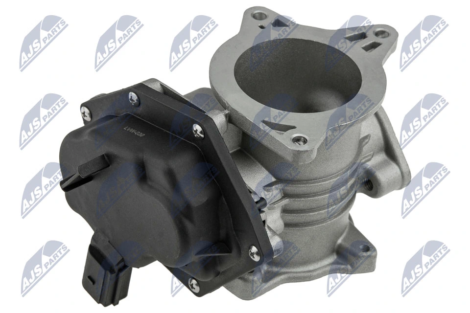 EGR Valve EGR-VW-039