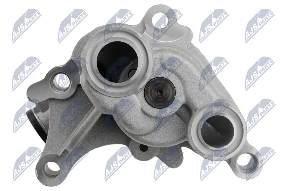 NTY BPO-NS-001 Oil Pump