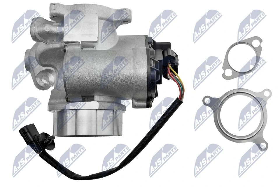 EGR Valve EGR-RE-012