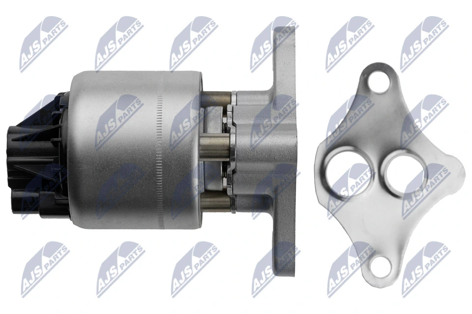 EGR Valve EGR-DW-008