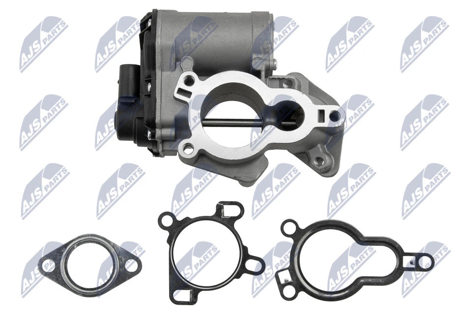 EGR Valve EGR-RE-020