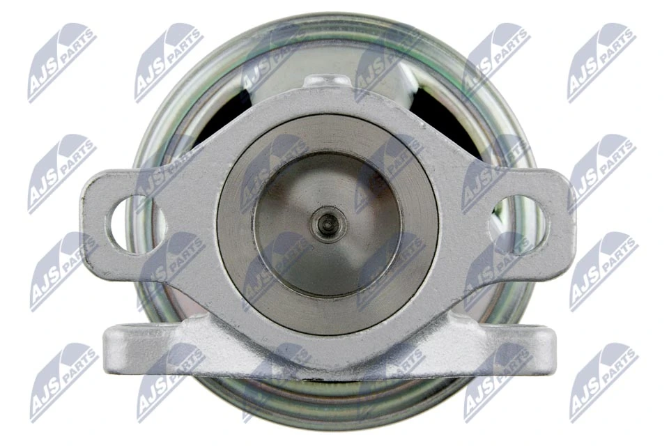 NTY EGR-CT-011 EGR Valve