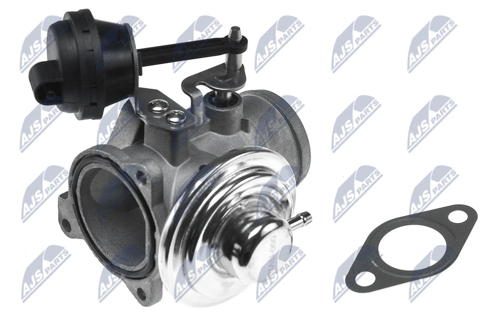 EGR Valve EGR-AU-000