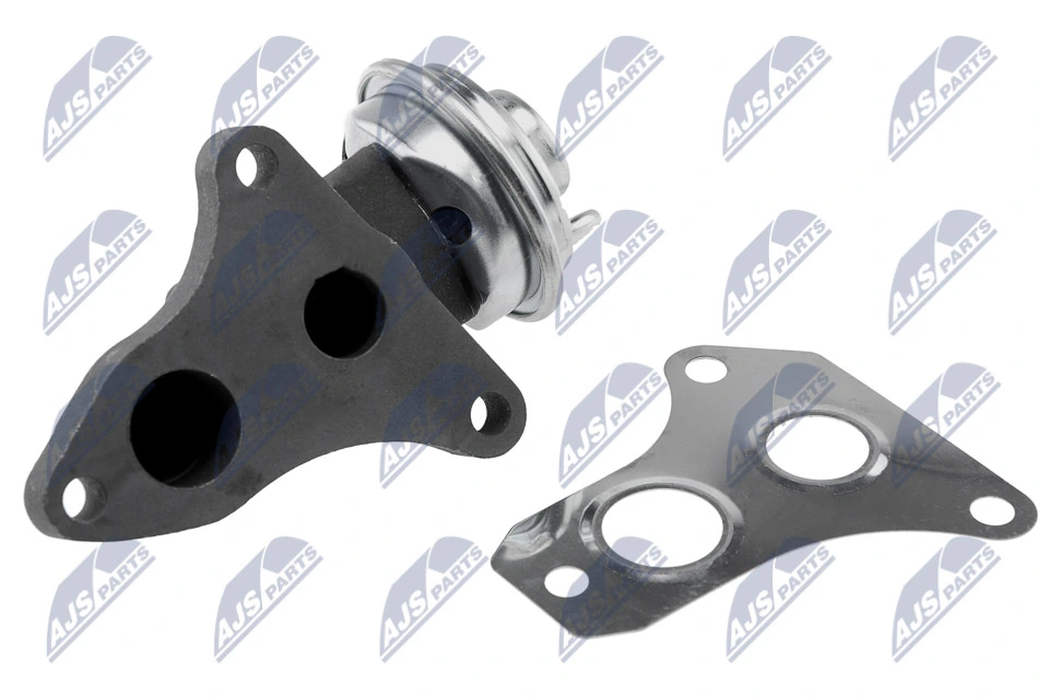 EGR Valve EGR-TY-010