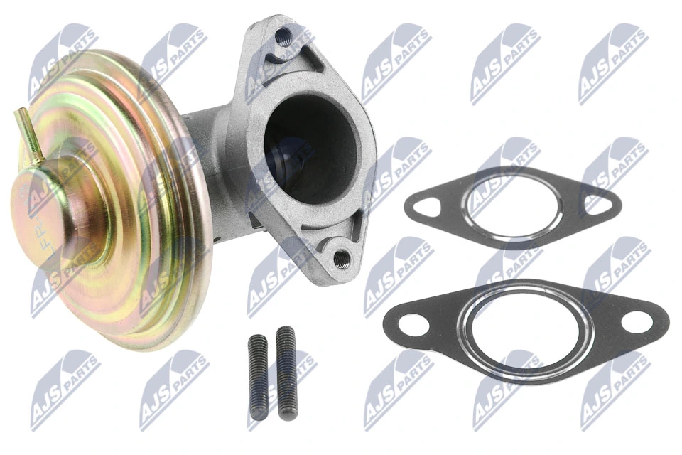 EGR Valve EGR-FR-013