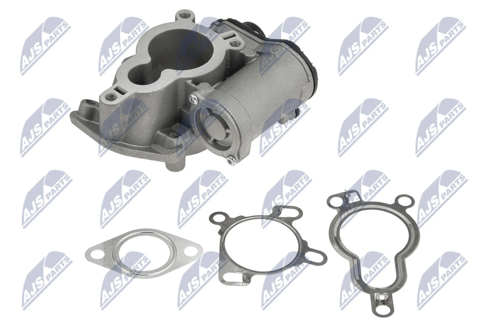 EGR Valve EGR-RE-020