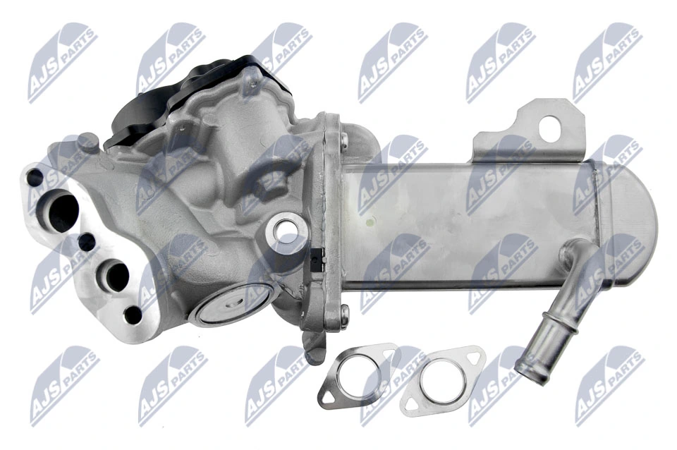 AGR 밸브 EGR-FR-009