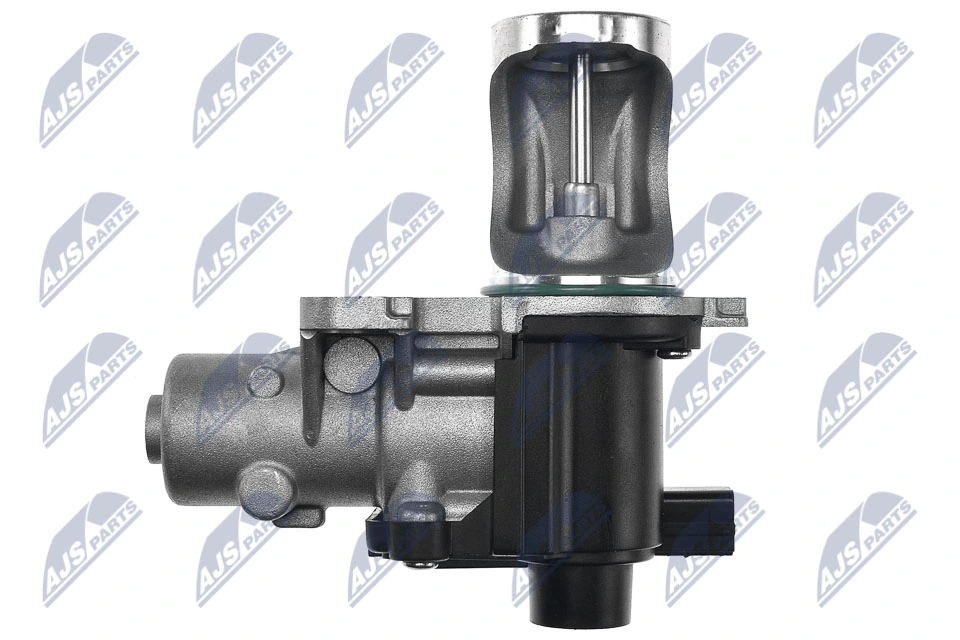 EGR Valve EGR-AU-008