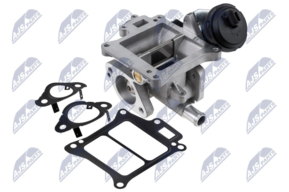 EGR Valve EGR-VV-010