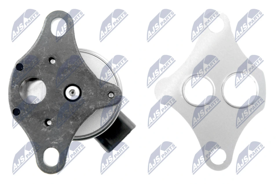 EGR Valve EGR-PE-000