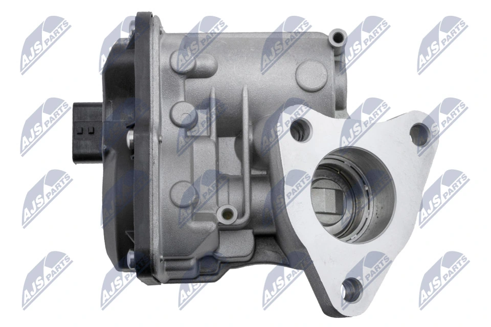 EGR Valve EGR-RE-019